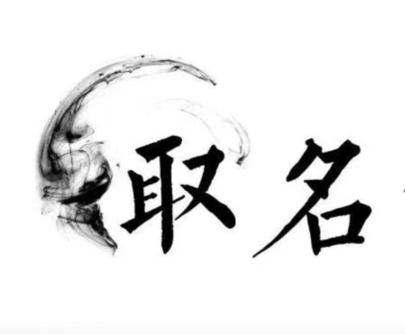  大新宝宝取名 大师一对一人工起名