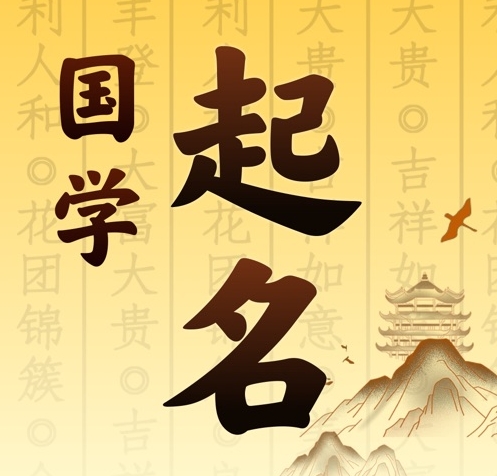 大新国学起名 人工起名一对一