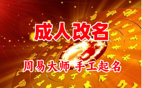 大新成人改名-找大师一对一改名先分析后改名